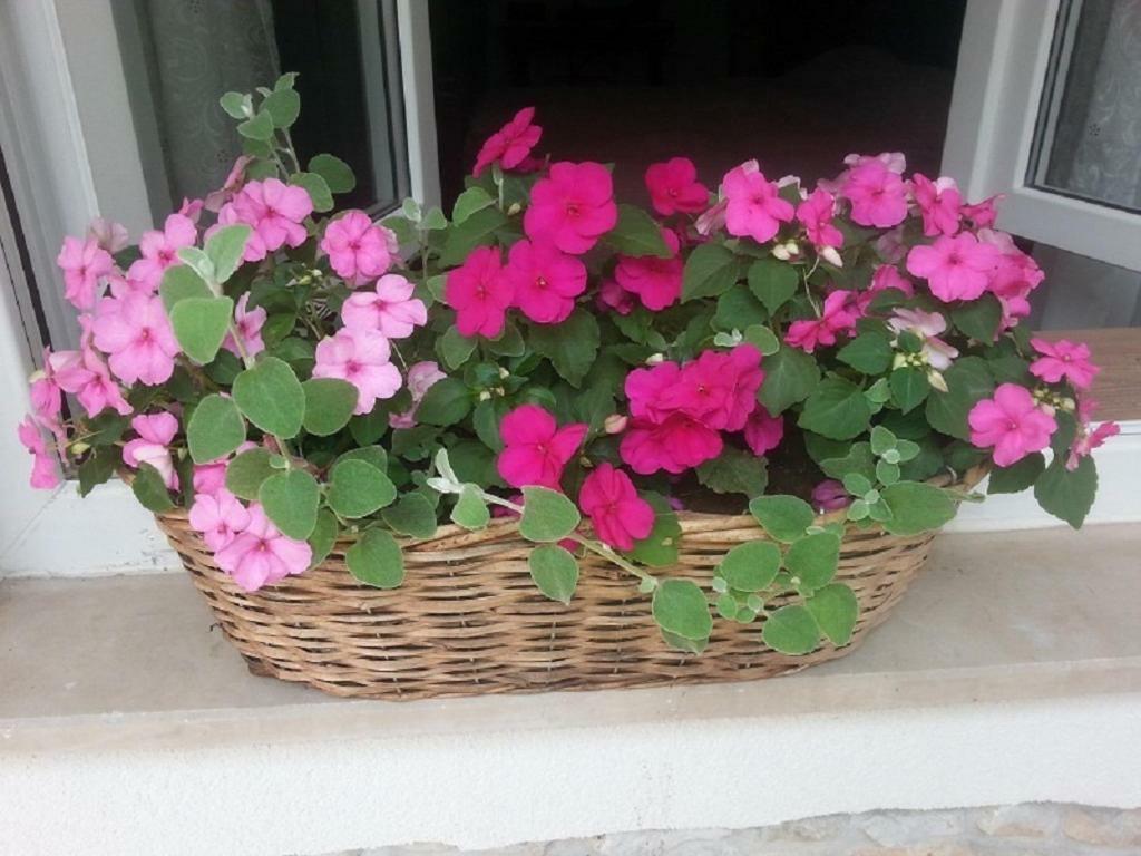 Rosa Apartman Crikvenica Bagian luar foto